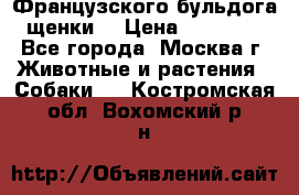 Французского бульдога щенки  › Цена ­ 35 000 - Все города, Москва г. Животные и растения » Собаки   . Костромская обл.,Вохомский р-н